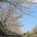宁波旅游 缩略图 6