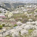 宁波旅游 缩略图 5