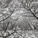 宁波旅游 缩略图 3