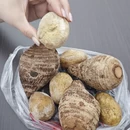 宁波旅游 缩略图 6