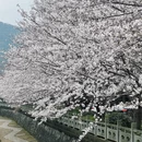 宁波旅游 缩略图 7