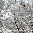 宁波旅游 缩略图 8