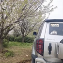 宁波旅游 缩略图 11