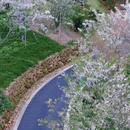 池州旅游 缩略图 3