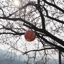 杭州旅游 缩略图 8