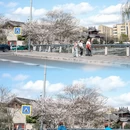 宁波旅游 缩略图 1
