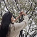 宁波旅游 缩略图 16