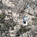 宁波旅游 缩略图 7