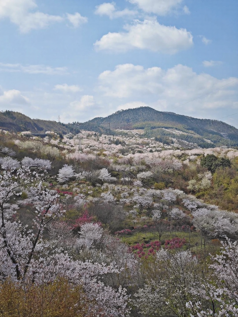 宁波旅游