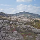 宁波旅游 缩略图 1