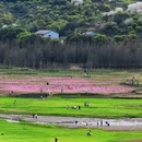 宁波旅游 缩略图 1