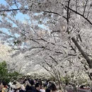 宁波旅游 缩略图 8