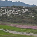 宁波旅游 缩略图 2