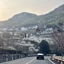 杭州旅游 缩略图 4