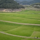 宁波旅游 缩略图 3