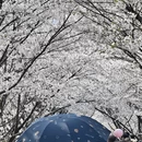 宁波旅游 缩略图 10