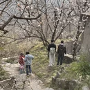 杭州旅游 缩略图 5