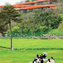 池州旅游 缩略图 7