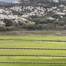 宁波旅游 缩略图 4