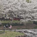 宁波旅游 缩略图 5