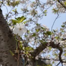 宁波旅游 缩略图 9