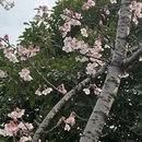 宁波旅游 缩略图 2