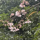 宁波旅游 缩略图 3