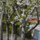 宁波旅游 缩略图 10