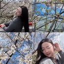 宁波旅游 缩略图 1
