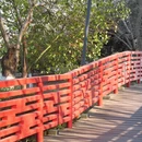 宁波旅游 缩略图 7
