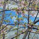 宁波旅游 缩略图 3