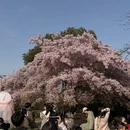 宁波旅游 缩略图 1