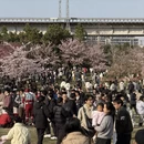 宁波旅游 缩略图 2