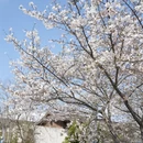 宁波旅游 缩略图 6
