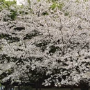 宁波旅游 缩略图 1