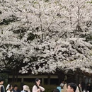 宁波旅游 缩略图 2