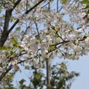 宁波旅游 缩略图 5