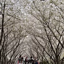 宁波旅游 缩略图 4