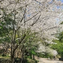 宁波旅游 缩略图 4