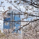 宁波旅游 缩略图 12