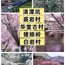 宁波旅游 缩略图 2