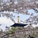 宁波旅游 缩略图 5