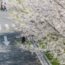 宁波旅游 缩略图 9