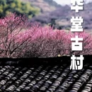 宁波旅游 缩略图 4