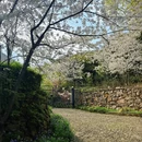 宁波旅游 缩略图 7