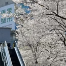 宁波旅游 缩略图 6