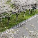宁波旅游 缩略图 11