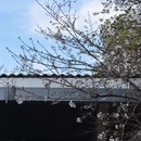 宁波旅游 缩略图 7