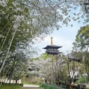 宁波旅游 缩略图 1