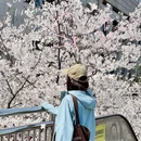 宁波旅游 缩略图 1
